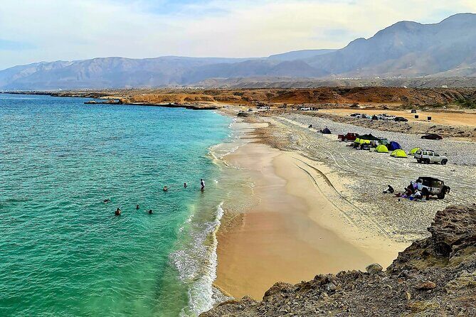 Private Wadi Shab - Ras Al Hadd Overnight - 2 Days Tours - Day 2: Sur shipyards, Wadi Tiwi greenery, and a calmer finish