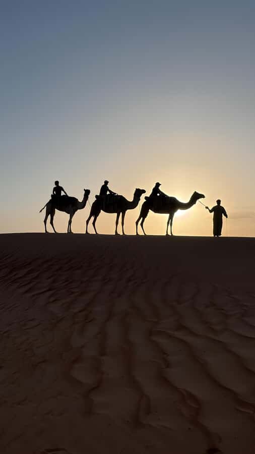 Safari World Zoo and Wahiba Sands with Sunset - From Muscat to Ibra: the zoo stop that sets the tone