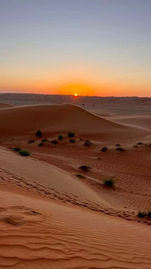 Safari World Zoo and Wahiba Sands with Sunset - Dinner under the stars: traditional Arabic food in the desert night