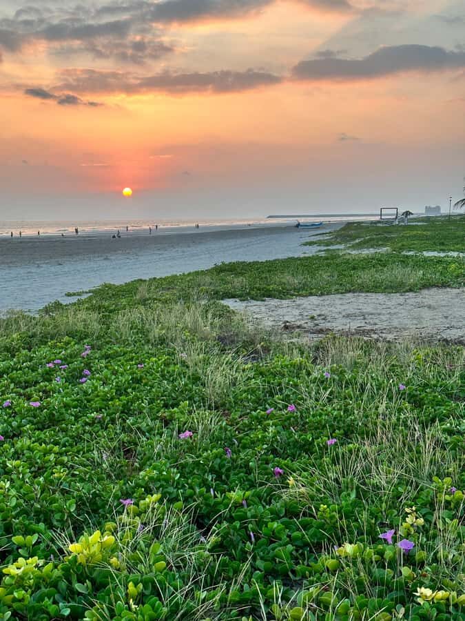 Salalah a combination of East and West tour - Taqa Beach and Taqah Plateau: coastal beauty with real-world timing