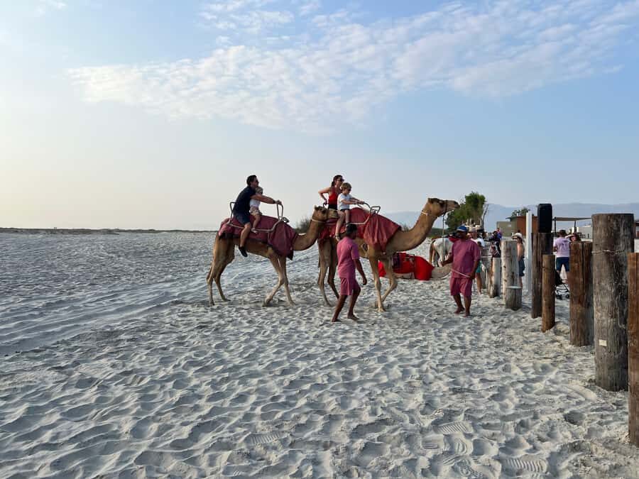 Salalah: Camel Riding on the Beach - Key things I’d circle before you go