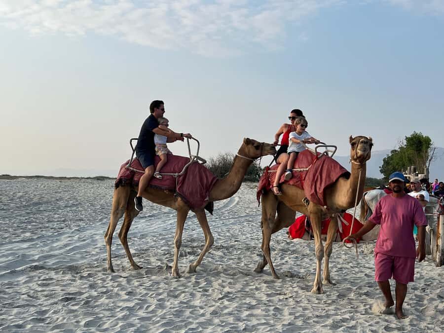 Salalah: Camel Riding on the Beach - Salalah Sunsets From a Camel Back