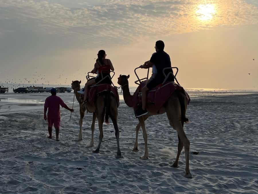 Salalah: Camel Riding on the Beach - Meeting Up at the Beach Club End (Pink Dress Team Included)