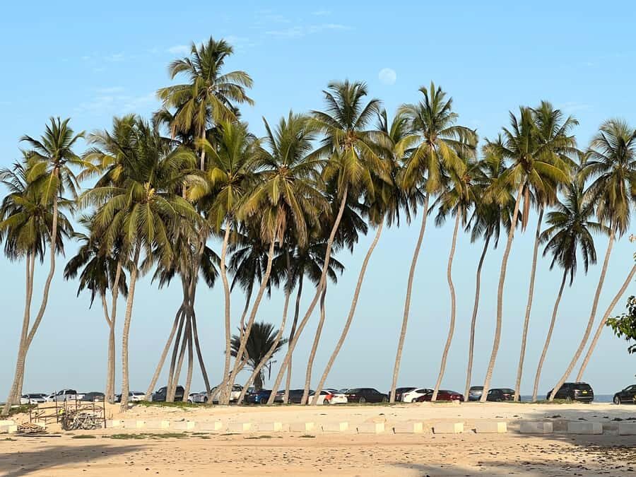 Salalah: Camel Riding on the Beach - Safety, Training, and What Guides Do on the Beach