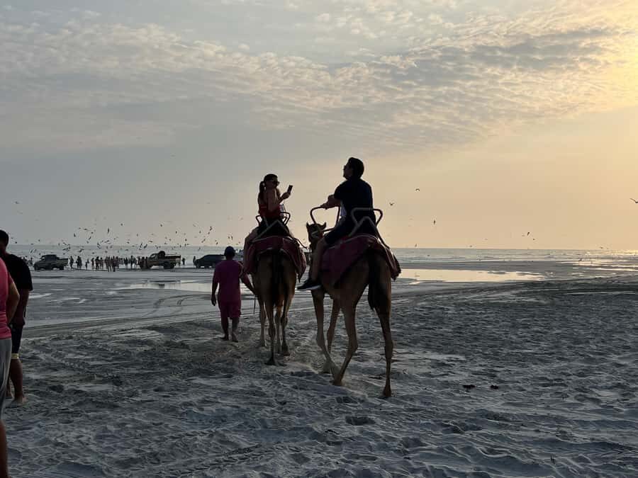 Salalah: Camel Riding on the Beach - Best Time for Sunset and How Long the Ride Feels