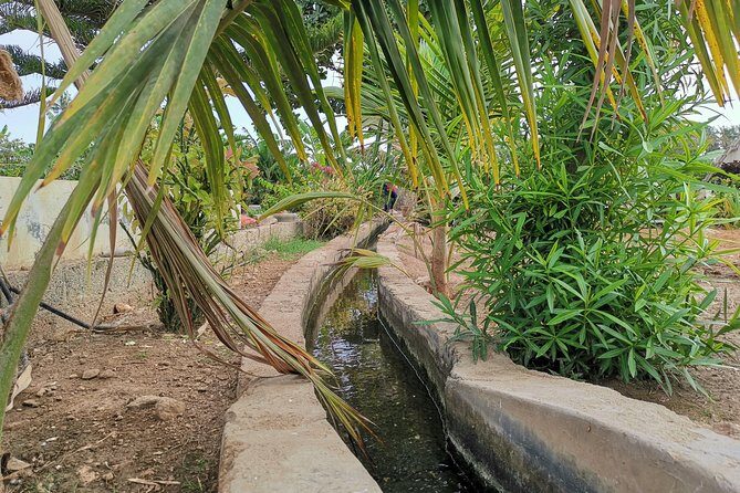 Salalah City private tour - all-inclusive sightseeing tour - Al-Husn Souq: frankincense shopping with a scent-first plan