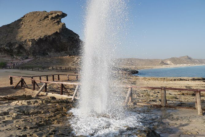 Salalah City Tour + West Coast Combo (Mughsail beach, blowholes) - Key highlights you’ll actually feel all day