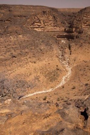 Salalah East Tour (Full Day Tour) - Key things that make this Salalah East day different