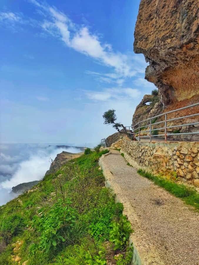 Salalah: Half-Day Guided Tour to Wadi Darbat & Mount Samhan - What the Tour Actually Costs: $110 Worth It?