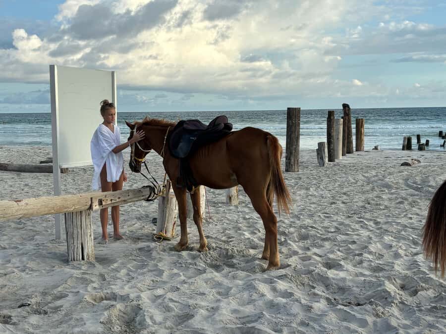 Salalah Horse Riding on the Beach optional Hotel Pick & Drop - The Real Appeal: Sunset Views Plus a Beach-Safe Ride