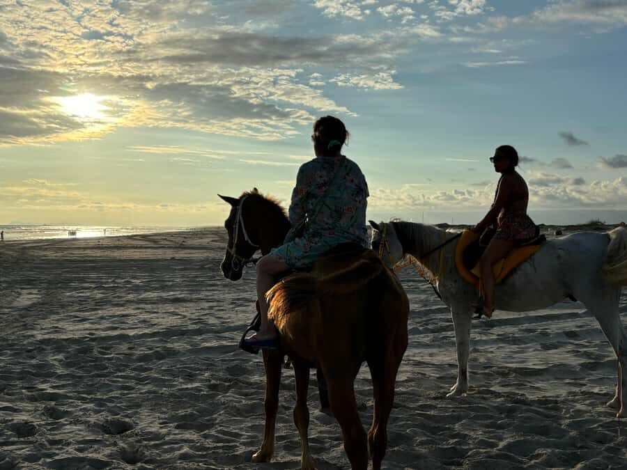 Salalah Horse Riding on the Beach optional Hotel Pick & Drop - Getting There: Pink Dress Guides and the Beach Club Endpoint
