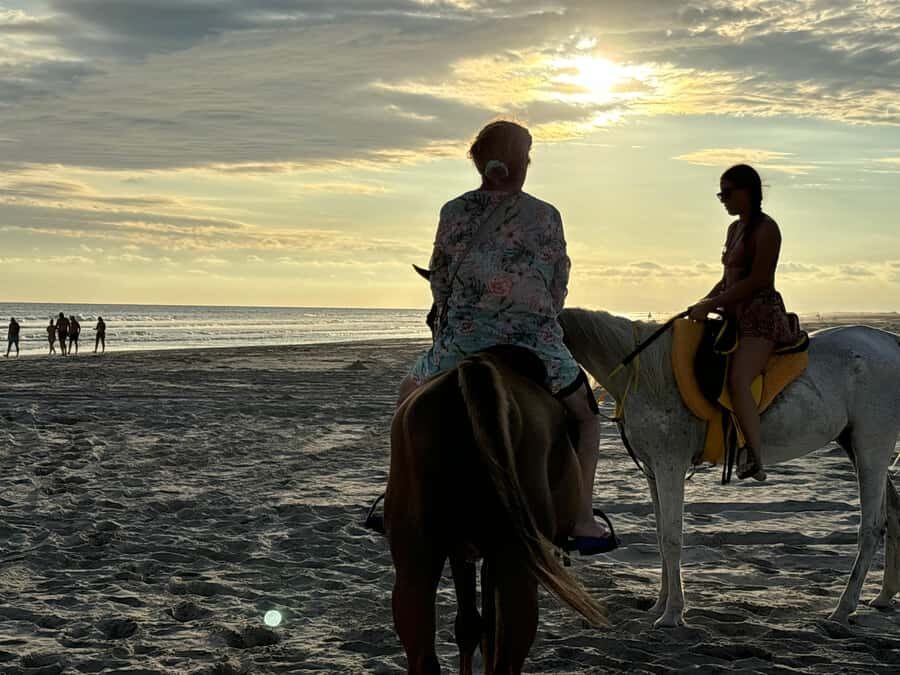 Salalah Horse Riding on the Beach optional Hotel Pick & Drop - What to Bring (and Who Should Skip It)