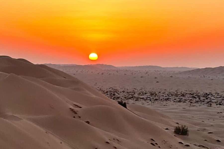 Salalah: Sunset desert safari tour in salalah(private tour) - What to bring (and what to skip) so the day stays fun
