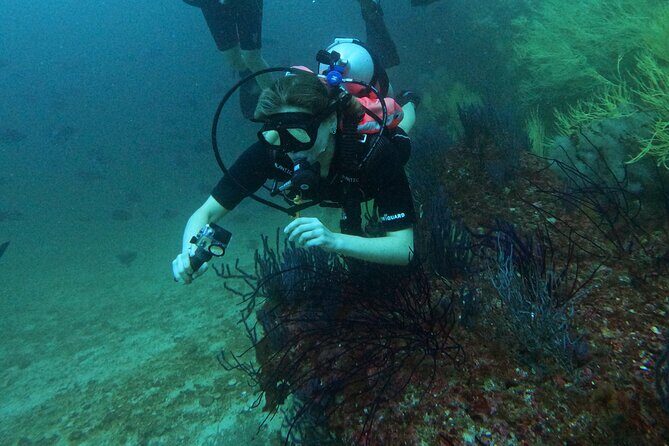 Scuba Diving Adventure in Musandam, Oman - Lima Rock and the Second Underwater Spot: What the Two-Session Format Means