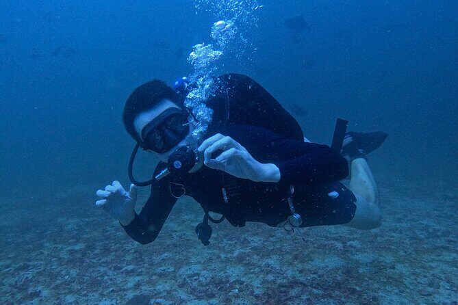 Scuba Diving Adventure in Musandam, Oman - Price and Value: Is $153.52 a Fair Deal?