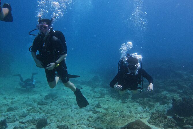 Scuba Diving Adventure in Musandam, Oman - Who This SCUBA Day Fits Best (and Who Should Think Twice)