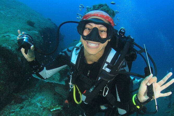 Scuba Diving to Dimaniyat Islands Muscat Oman - What You’ll See: turtles, rays, sharks, eels, and coral gardens