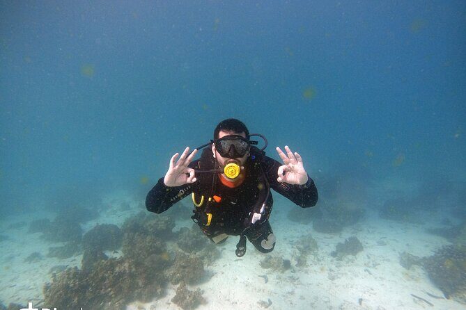 Scuba Diving Trips to Dimaniyat Islands - Getting to the boat: Al Seeb Port is close, not complicated