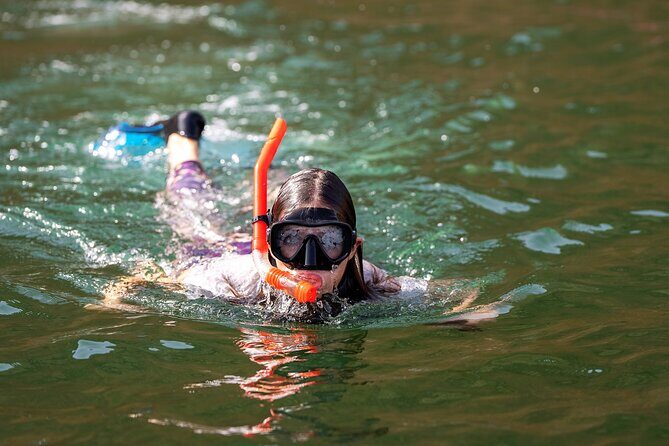 Sea Wonders Dolphin Watching and Snorkeling in Muscat - Key things to know before you book