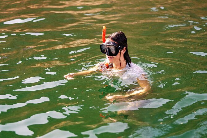 Sea Wonders Dolphin Watching and Snorkeling in Muscat - Muscat by Sea: Dolphin Watching and Snorkeling Without the Full-Day Commitment
