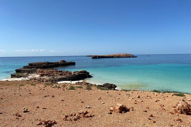 Snorkeling at Dimaniyat Islands and Dolphin Watching - Spotting Dolphins, Turtles, and Whale Sharks: What Guidance Changes