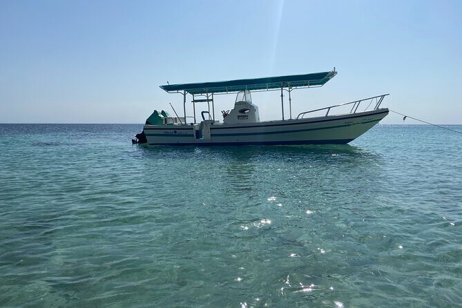 Snorkeling at Dimaniyat Islands and Dolphin Watching - Stop at Ad Dimaniyat Islands: Coral Reefs and Protected-Waters Magic