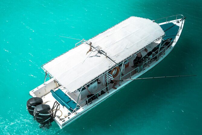 Snorkeling Experience at Ad Daymaniyat Islands in Muscat - Key Highlights at Ad Daymaniyat Islands Snorkeling