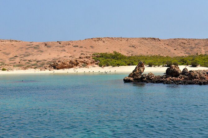 Snorkeling trips to Daymaniat Islands Sharing Trip - Quick Hits for Daymaniyat Shared Snorkeling