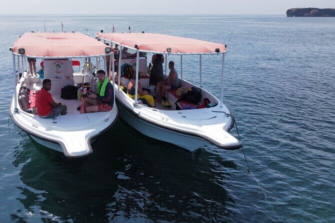 Snorkeling trips to Daymaniat Islands Sharing Trip - The 5-Hour Plan: What You’ll Do (and When)