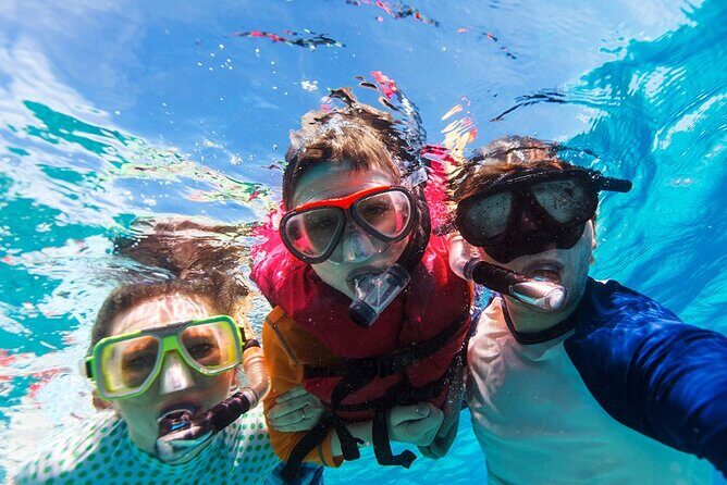 Snorkeling trips to Daymaniat Islands Sharing Trip - Underwater Encounters: Turtles, Rays, Fish, and the Chance of Sharks