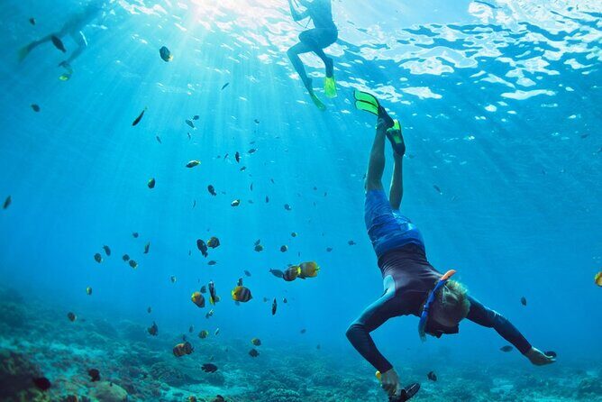 Snorkeling trips to Daymaniat Islands Sharing Trip - Snorkeling Gear and Crew: Why It Feels Easy