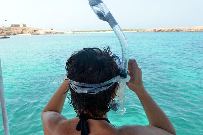 Snorkeling trips to Daymaniat Islands Sharing Trip - Price and Logistics: Is $75.05 Worth It?
