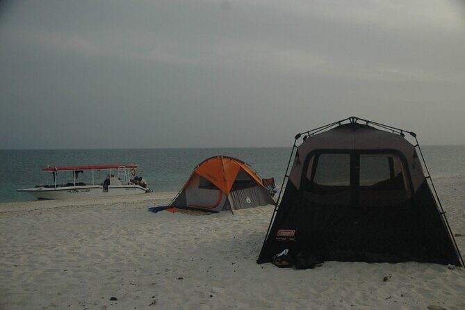 Snorkeling trips to Daymaniat Islands Sharing Trip - Who This Snorkeling Trip Fits Best (and Who Should Skip)