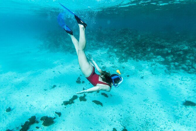 Snorkelling tours to Daymaniyat island - When Someone in Your Group Doesn’t Want to Swim: Island Beach Time