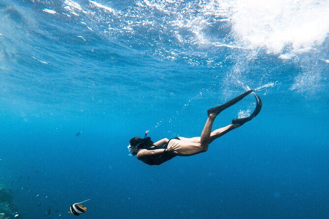 Snorkelling tours to Daymaniyat island - Boat Comfort in Real Life: Shade, Bathroom, Seats, and Wind