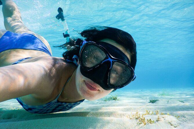 Snorkelling tours to Daymaniyat island - Who This Tour Suits Best (and Who Might Want a Plan B)
