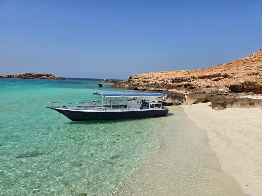 Try scuba Diving Tours To Daymaniyat Islands. - Who should book, and who should skip this day
