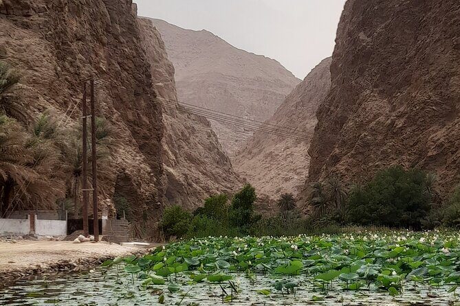 Wadi Shab Expedition - Wadi Shab: The 45-Minute Hike to the Swimming Pools