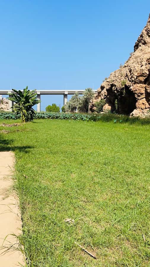 Wadi Shab Parking Meet the Local Guide for Self drivers - Why the parking-lot meet-up is a smart move