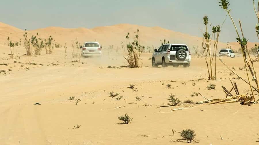Wahiba Sand and Wadi Bani Khalid Guided Group Tour - Should you book Wahiba Sands and Wadi Bani Khalid?