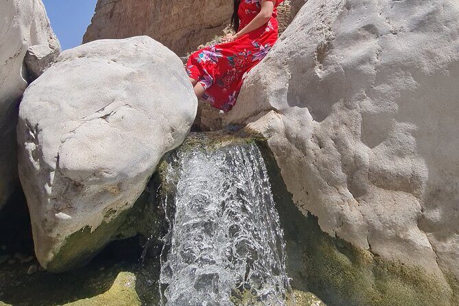Wahiba Sands Desert and Wadi Hawar Private Tour - Timing and pacing: a full day with two major nature blocks