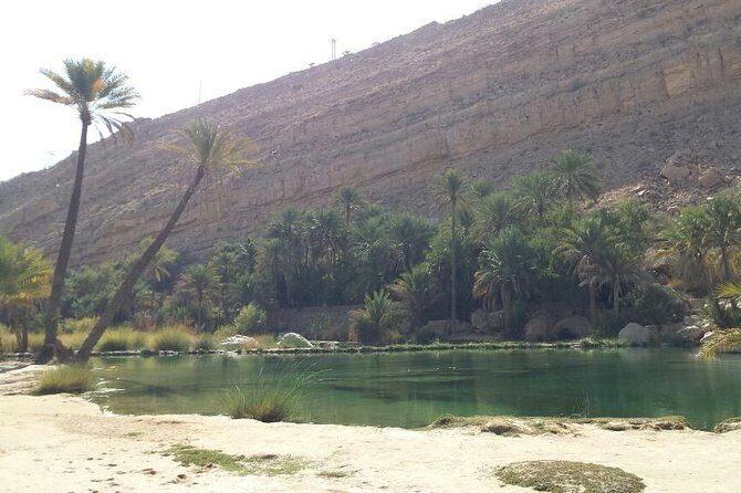Wahiba Sands Desert Safari 4X4 - Who this private safari fits best