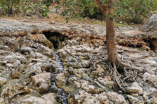 West Salalah, Al Mughsail Beach, White Beach, Frankincense Tree (Half day Tour) - Afoul Beach: quiet coast time away from crowds