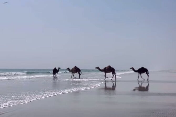 West Salalah Beaches and Blowholes - West Salalah’s west-coast route feels like a real day out
