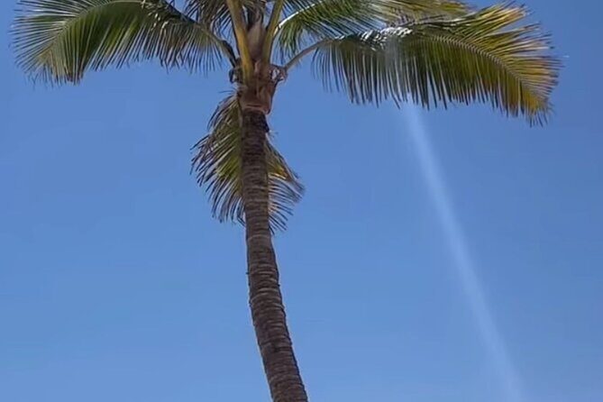 West Salalah Beaches and Blowholes - Afoul Beach: a short, sweet break with calm water and white sand