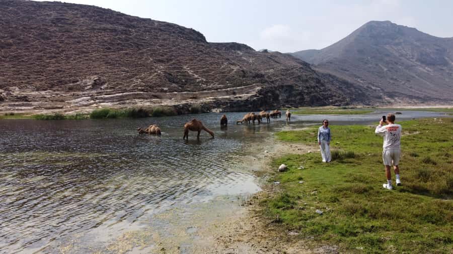 West Salalah Highlights: Coastal Wonders & Scenic Views - Pickup, drive time, and why the photo stops matter