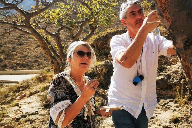 West Salalah Tour by VisitSalalah - Fazay Beach: the natural follow-on after the blowholes
