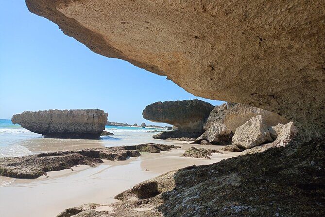 West Salalah Tour by VisitSalalah - Stop 1: Ain Garziz springs and the quick nature reset
