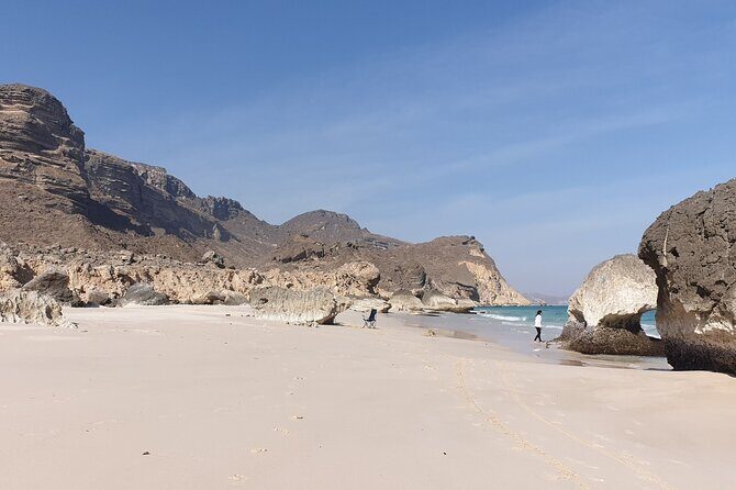 West Salalah Tour - Caribbean of Orient - Fazayah Beach with City - The Frankincense Trail: spotting the tree behind the legend